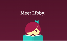 Meet libby screenshot