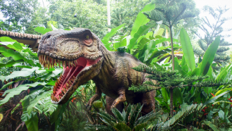 a brownish t-rex emerging from behind trees in a jungle