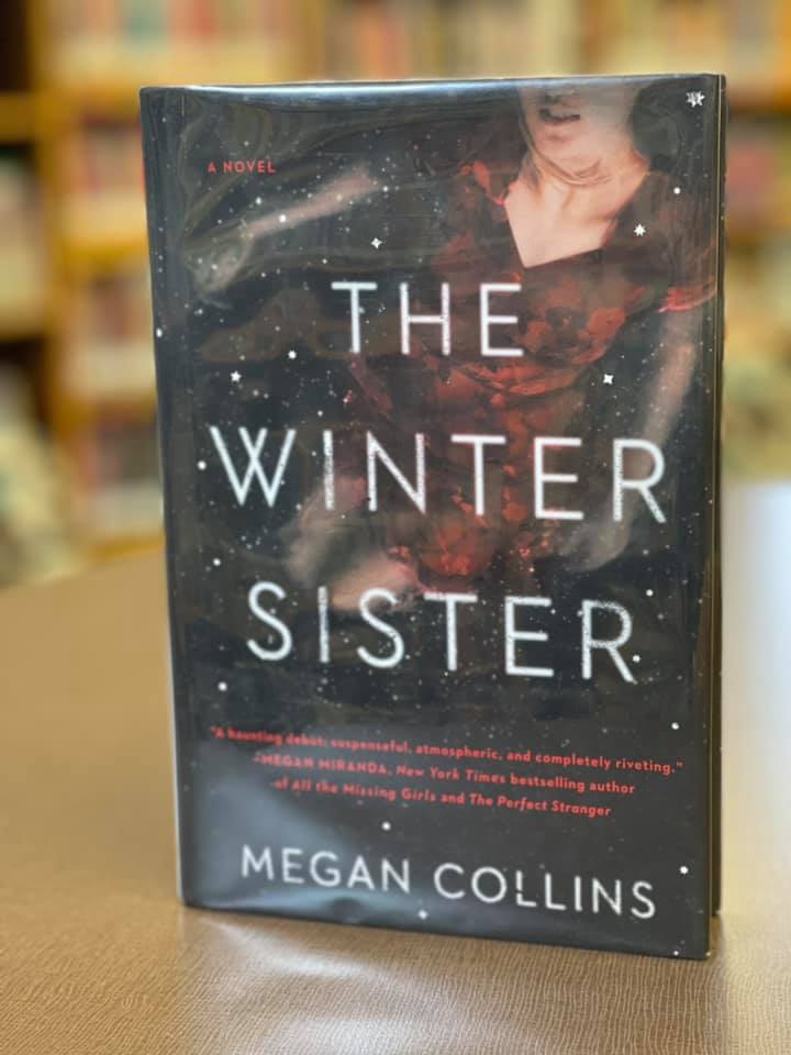 winter sister book cover